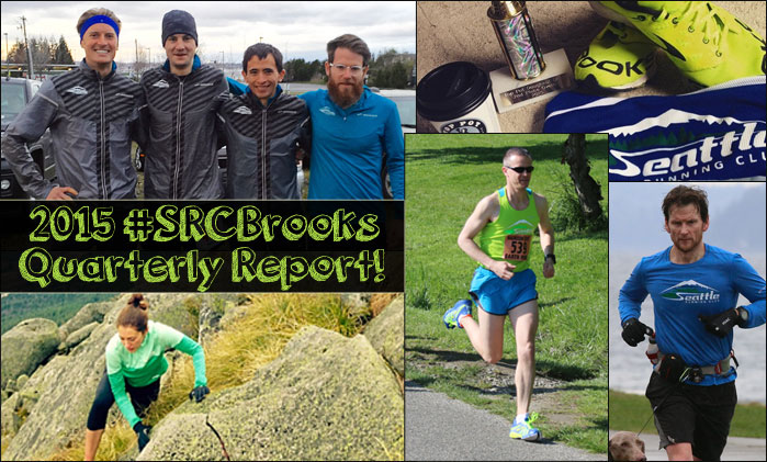 2015 SRCBrooks Report